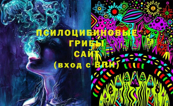 PSILOCYBIN Зеленокумск