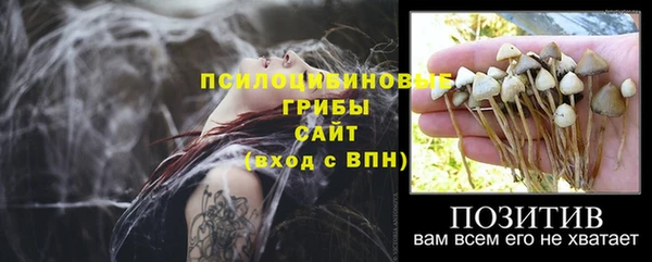 PSILOCYBIN Зеленокумск