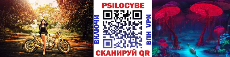 Галлюциногенные грибы прущие грибы  Купить где  Кукмор 